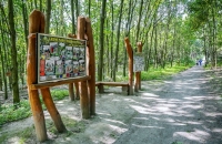 Výlet autobusem do lesního parku v Klimkovicích