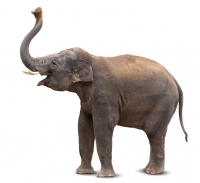 NÁVŠTĚVA VÝUKOVÝCH PROGRAMŮ O EXOTICKÝCH ZVÍŘATECH V ZOO OSTRAVA